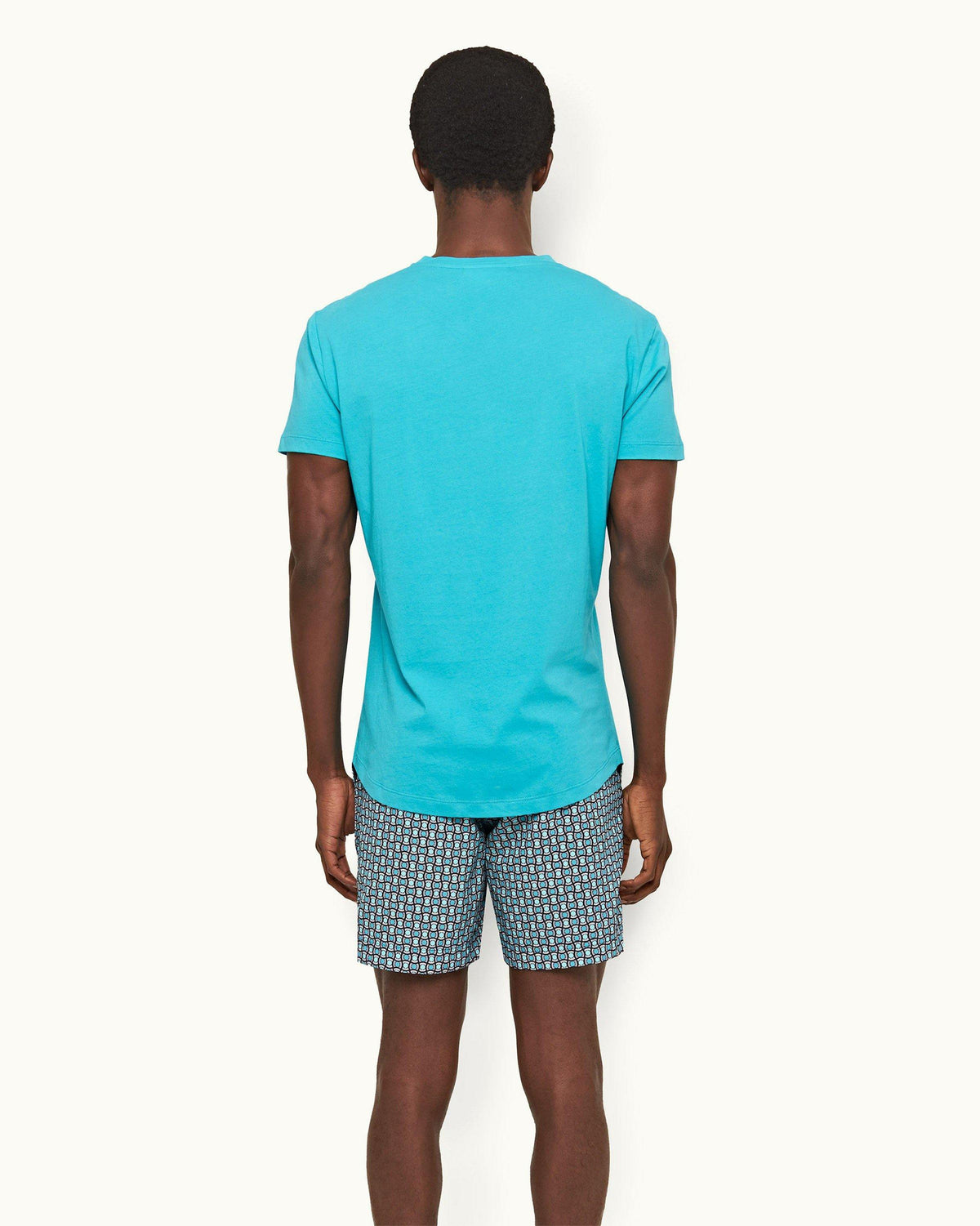 Ob-T - Mens Crystal Sea Tailored Fit Crewneck Organic Cotton T-Shirt Back Model View