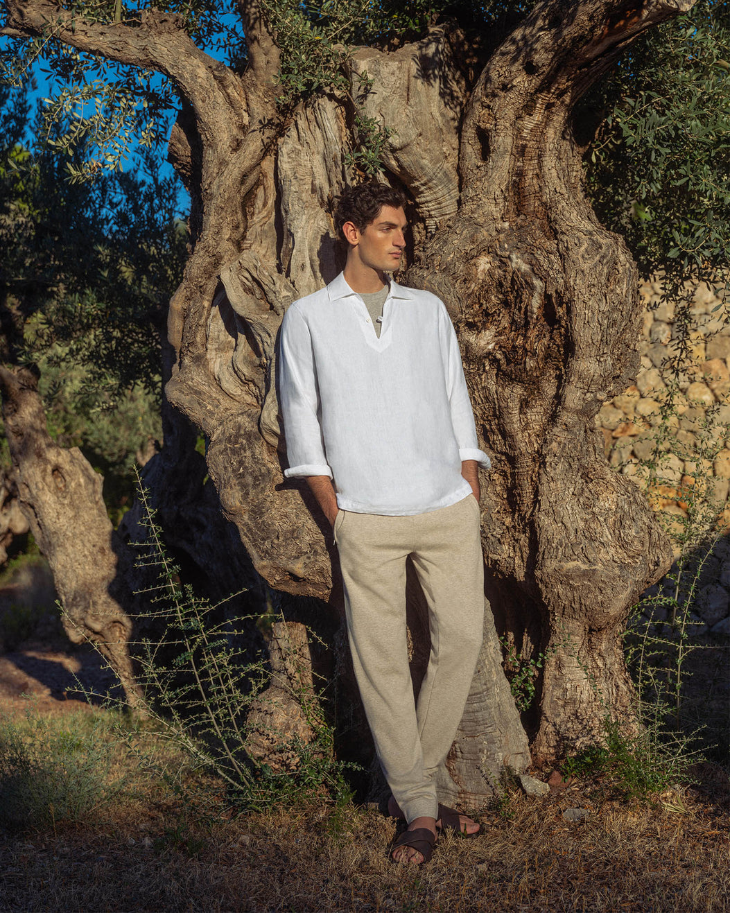 Man in a white shirt and beige pants standing in front of an old olive tree.