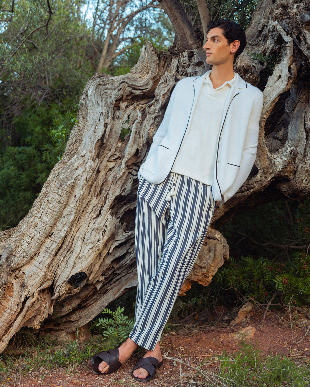 Man in a white jacket and striped pants standing in front of a large tree trunk.